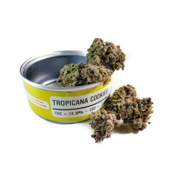 Space-Buy Monkey-Meds_Topicana_cookies_ WeedHommy
