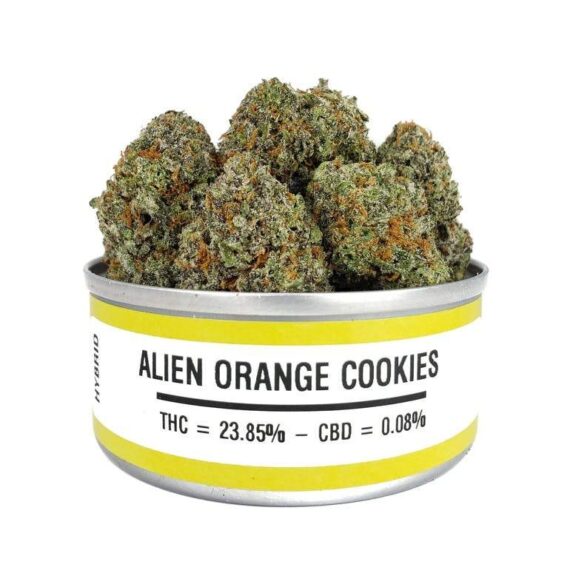 Space Monkey Alien Orange Cookies For salee