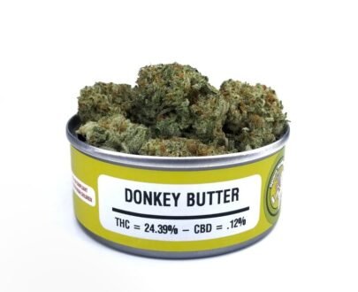 donkey butter space monkey for sale