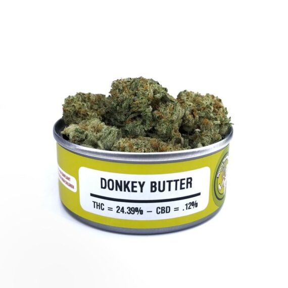donkey butter space monkey for sale