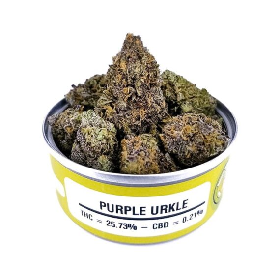 Purple Urkle Space Monkey for sale!