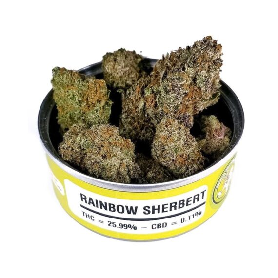 Rainbow_Sherbert for sale