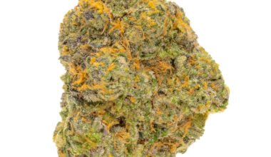 Buy Girl Scout Cookies GSC weed on WeedHommy