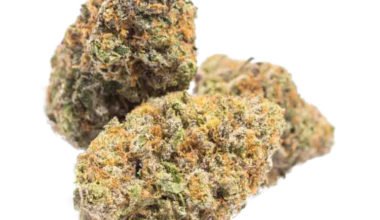 granddaddy-purple weed for sale online