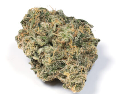 Durban-Poison available for sale on WeedHommy