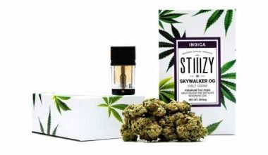 SkyWalker OG Stiiizy 30 units x 500 mg