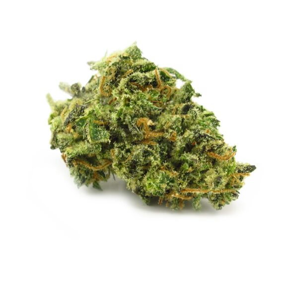 Lemon Haze Marijuana Strains for Sale on WeedHommy