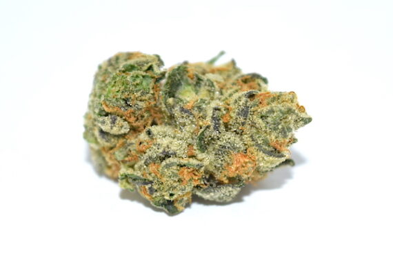 girl-scout-cookies-strain for sale on WeedHommy