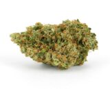 Strawberry-Cough cannabis strains for sale