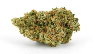 Strawberry-Cough cannabis strains for sale