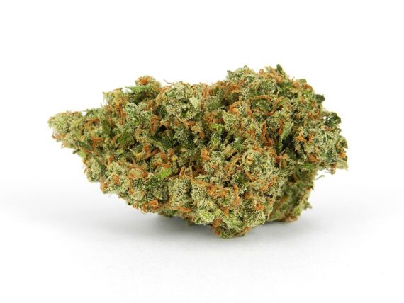 Strawberry-Cough cannabis strains for sale
