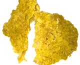 BHO for sale