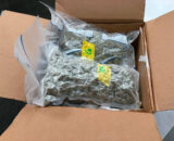 2 lbs of Cannabis Buds for Sale