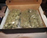 Buy 3 Pounds of Weed