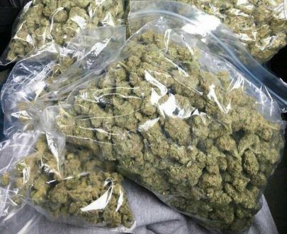 Buy Marijuana Online - Wholesale Weed for Sale, Extracts - WeedHommy