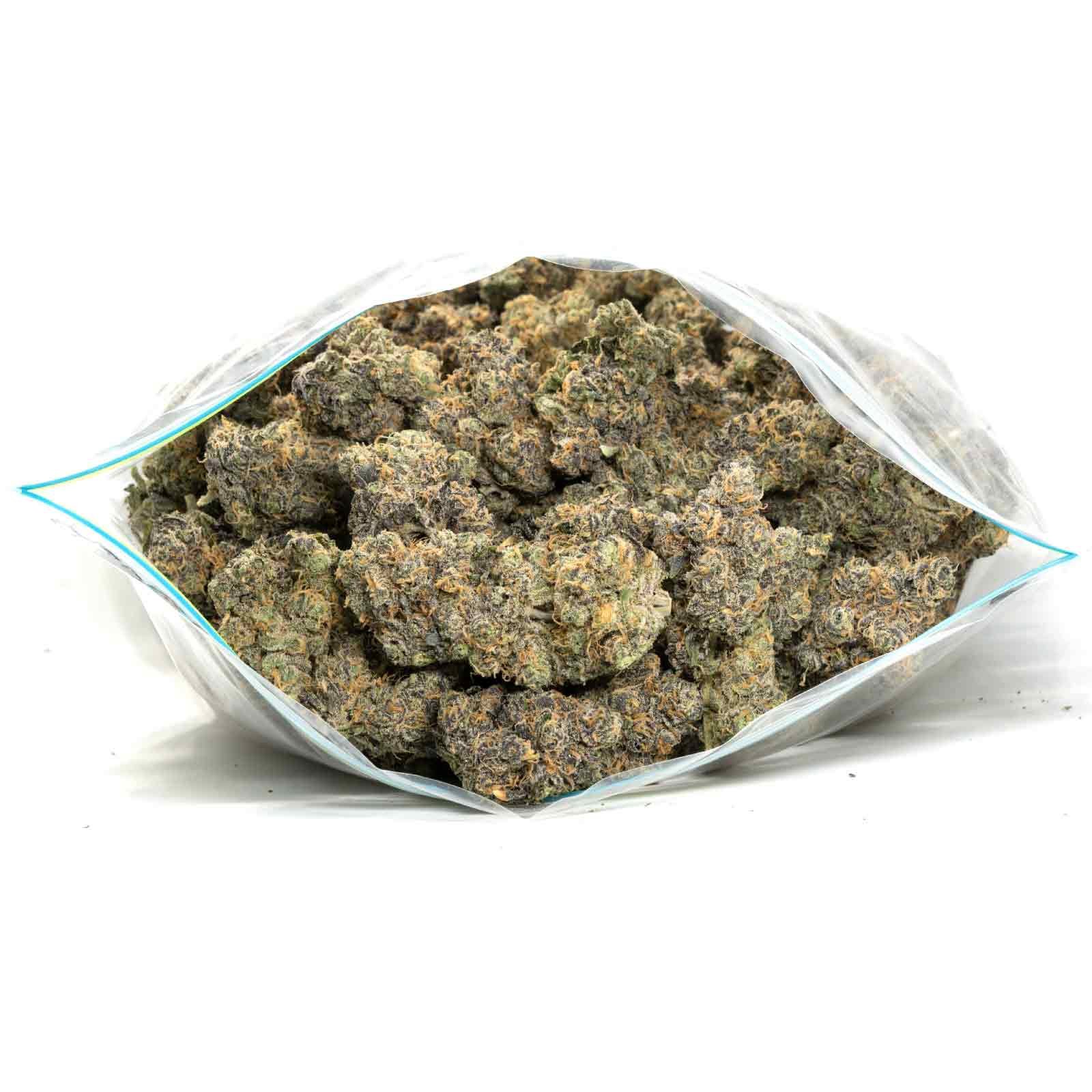 10 Pounds of exotics weed